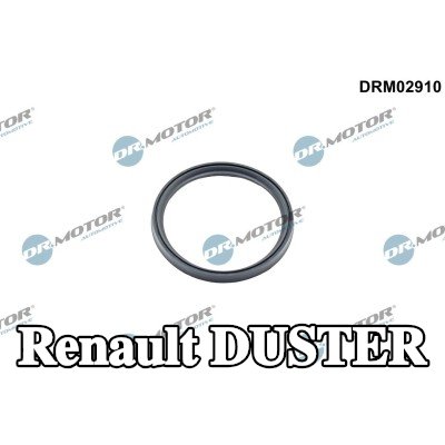 DR.MOTOR AUTOMOTIVE مانع تسرب، الشاحن — Renault Duster