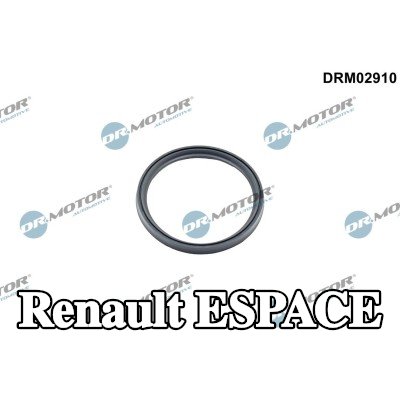 DR.MOTOR AUTOMOTIVE مانع تسرب، الشاحن — Renault Espace