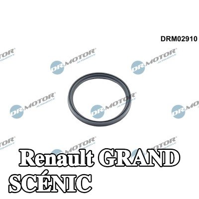 DR.MOTOR AUTOMOTIVE مانع تسرب، الشاحن — Renault Grand Scénic