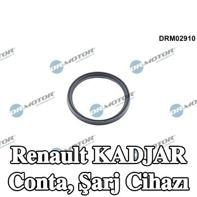 DR.MOTOR AUTOMOTIVE Conta, şarj cihazı — Renault Kadjar