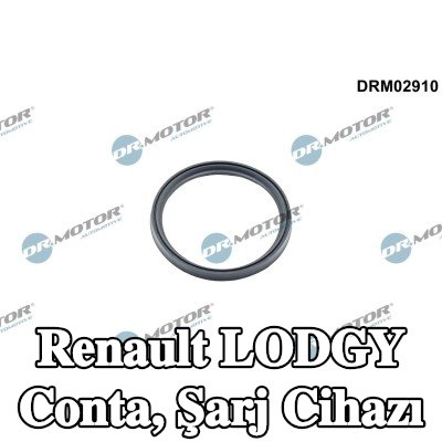 DR.MOTOR AUTOMOTIVE Conta, şarj cihazı — Renault Lodgy