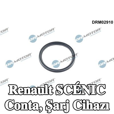 DR.MOTOR AUTOMOTIVE Conta, şarj cihazı — Renault Scénic