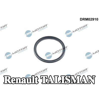 DR.MOTOR AUTOMOTIVE مانع تسرب، الشاحن — Renault Talisman