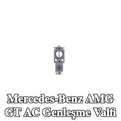 MAHLE AC genleşme valfi — Mercedes-Benz Amg Gt
