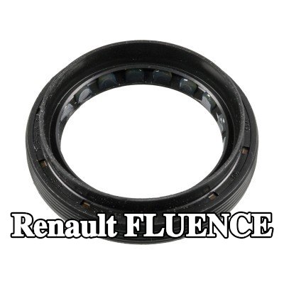 FEBI BILSTEIN حشية العمود, التروس التفاضلية لكلا الجانبين — Renault Fluence