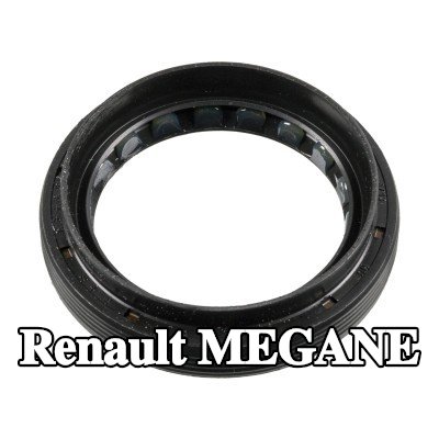 FEBI BILSTEIN حشية العمود, التروس التفاضلية لكلا الجانبين — Renault Megane