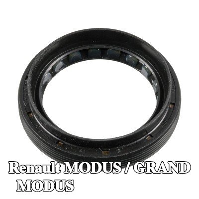 FEBI BILSTEIN حشية العمود, التروس التفاضلية لكلا الجانبين — Renault Modus / Grand Modus