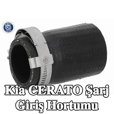 ACKOJA Kelepçeli şarj cihazı emme hortumu — Kia Cerato