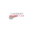 FAST Enjektör kelepçe cıvatası — Ford Fusion (2)