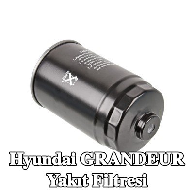 FEBI BILSTEIN Yakıt filtresi — Hyundai Grandeur
