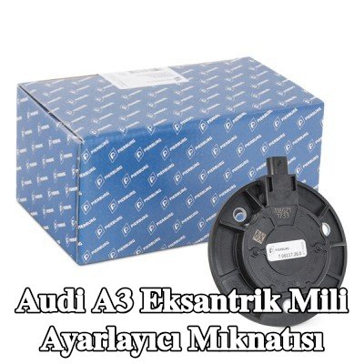 PIERBURG Eksantrik mili ayarlayıcı mıknatısı — Audi A3