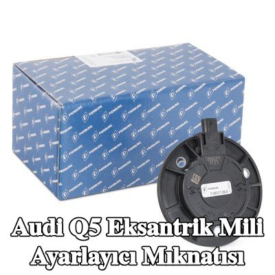 PIERBURG Eksantrik mili ayarlayıcı mıknatısı — Audi Q5