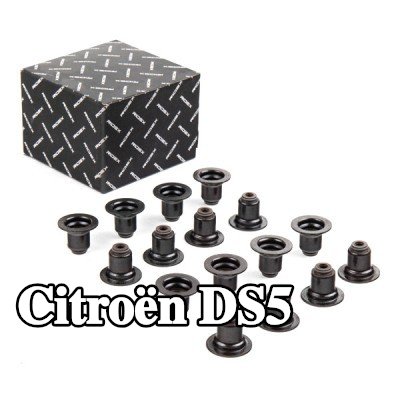 RIDEX مجموعة سدادات صمامات الصمامات — Citroën Ds5