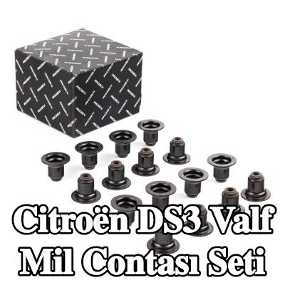 RIDEX Valf mil contası seti — 2011 Citroën Ds3