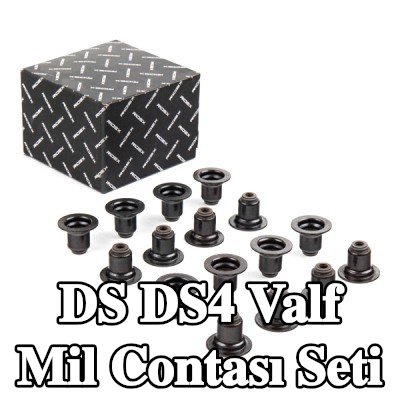 RIDEX Valf mil contası seti — DS Ds4