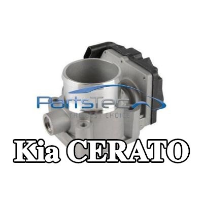 PartsTec وحدة التحكم في جسم الخانق/يجب تدريب/تحديث البرنامج — 2008 Kia Cerato
