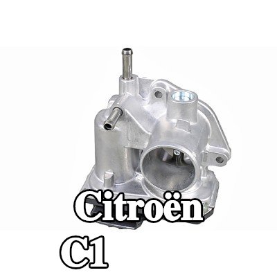 METZGER وحدة التحكم في جسم الخانق/يجب تدريب/تحديث البرنامج — Citroën C1