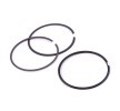 MAHLE Piston Segman Kiti — Citroën C3 (2)