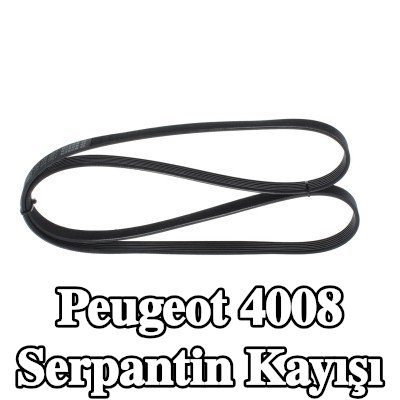 BOSCH Serpantin kayışı 1488mm, Number of ribs: 6 — Peugeot 4008