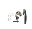 BOSCH Su pompası ve triger kayışı kiti Diş Sayısı: 117, Width: 22mm — Ford Transit Connect (6)