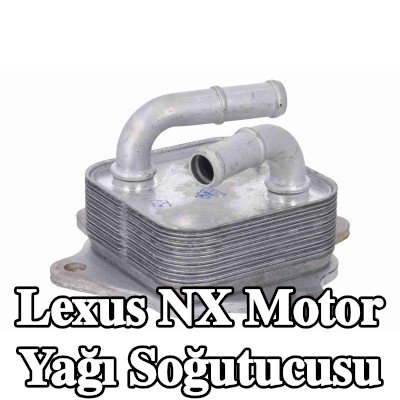 ACKOJA Motor yağı soğutucusu — Lexus Nx
