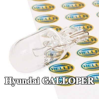 HELLA مصباح لوحة الأرقام — 1995 Hyundai Galloper