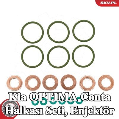 ESEN SKV Conta Halkası Seti, enjektör — 2012 Kia Optima