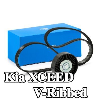 SKF مجموعة أحزمة V-Ribbed — Kia Xceed