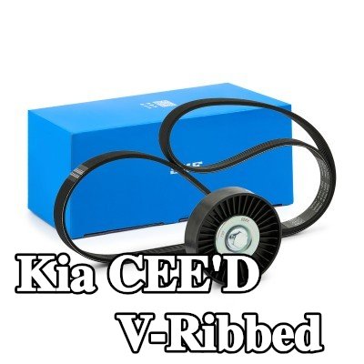 SKF مجموعة أحزمة V-Ribbed — Kia Cee'd