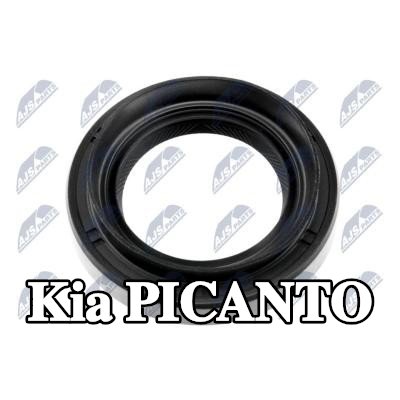 NTY حشية العمود، ناقل حركة يدوي — Kia Picanto