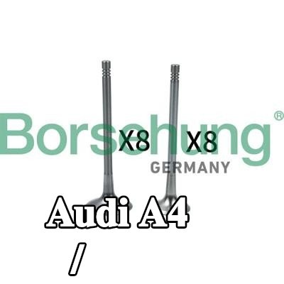 Borsehung وحدة الصمام، صمام الدخول/الخروج — Audi A4