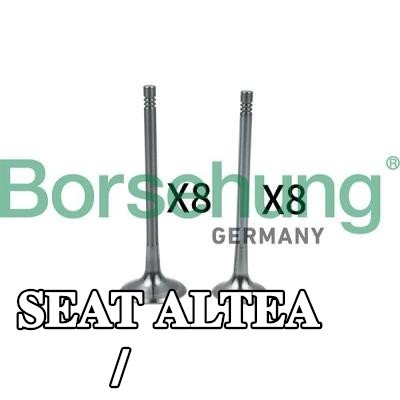 Borsehung وحدة الصمام، صمام الدخول/الخروج — SEAT Altea