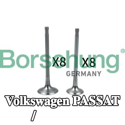 Borsehung وحدة الصمام، صمام الدخول/الخروج — Volkswagen Passat