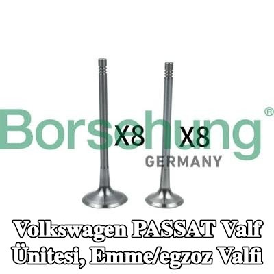 Borsehung Valf ünitesi, emme/egzoz valfi — Volkswagen Passat