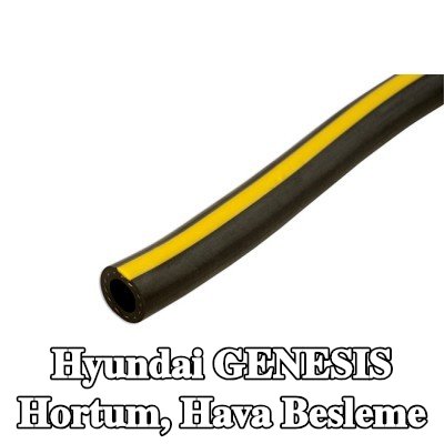 Connect Hortum, hava besleme — Hyundai Genesis