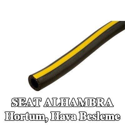 Connect Hortum, hava besleme — 2000 SEAT Alhambra