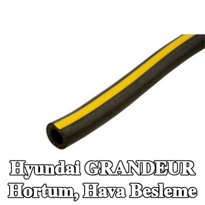 Connect Hortum, hava besleme — Hyundai Grandeur