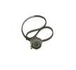 BOSCH Zincir Tahrik Kiti Diş Sayısı: 101, 808mm — Kia Picanto (1)