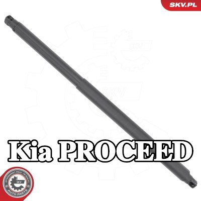 ESEN SKV دعامة الباب الخلفي اليمنى الخلفية, 665mm — Kia Proceed