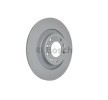 BOSCH Fren diski Dış Çap: 290mm, düz, Kaplamalı, cıvata/vida ile — DS Ds4 (1)