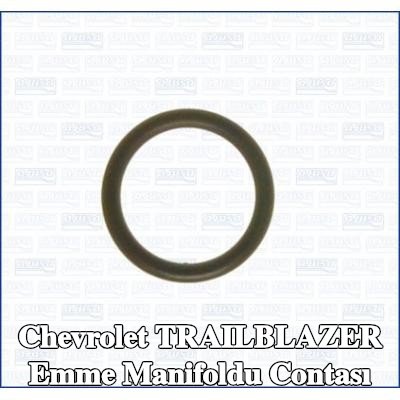 AJUSA Emme manifoldu contası — Chevrolet Trailblazer