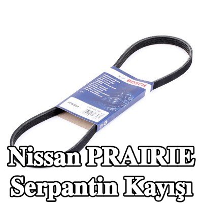 BOSCH Serpantin kayışı 884mm, Number of ribs: 4 — Nissan Prairie