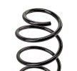 SACHS Helezon yay — Volkswagen Golf (3)