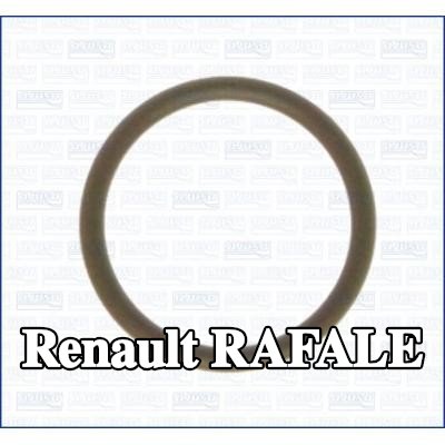 AJUSA حشية مشعب السحب — Renault Rafale