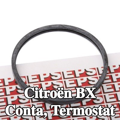 EPS Conta, termostat İtalya'da üretilmiştir - OE Eşdeğeri — Citroën Bx