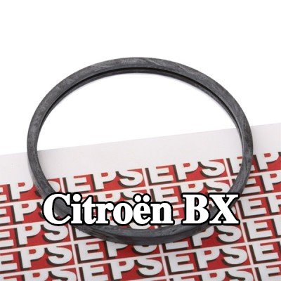 EPS حشية, ثرموستات صنع في إيطاليا - مكافئ للمعدات الأصلية — Citroën Bx