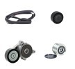 RIDEX V-Oluklu Kayış Seti — Mitsubishi Grandis (1)