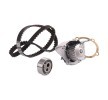 BOSCH Su pompası ve triger kayışı kiti Diş Sayısı: 114, Width: 17mm — Citroën Bx (2)