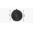 AVA COOLING SYSTEMS Isıtıcı fan motoru — Renault Fluence (2)
