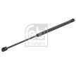 FEBI BILSTEIN Gaz Yayı, arka cam her iki taraf — 2002 Hyundai Santa Fe (2)